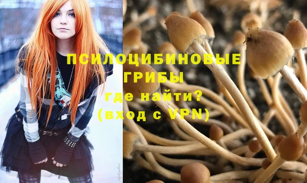 молекула духа Арсеньев