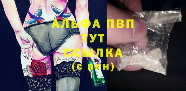 ПСИЛОЦИБИНОВЫЕ ГРИБЫ Аркадак