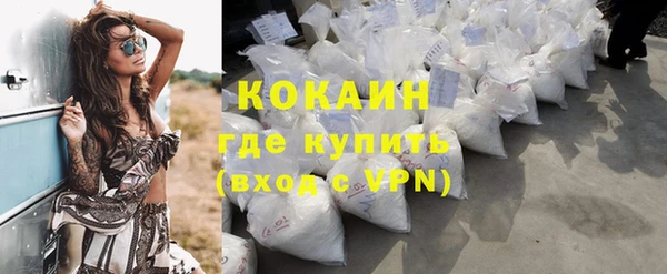 ПСИЛОЦИБИНОВЫЕ ГРИБЫ Аркадак