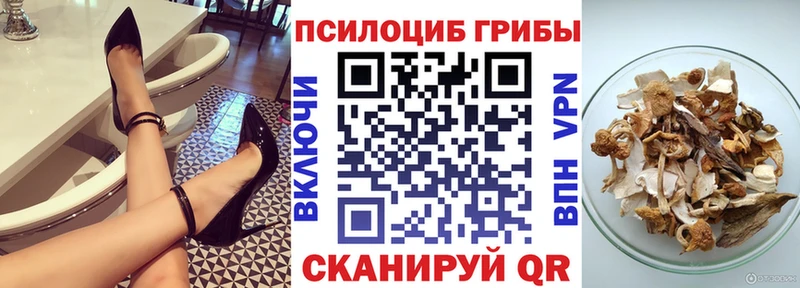 Псилоцибиновые грибы мицелий  где купить наркотик  Улан-Удэ 